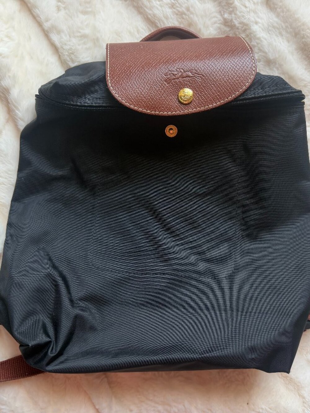 Longchamp Black Backpack